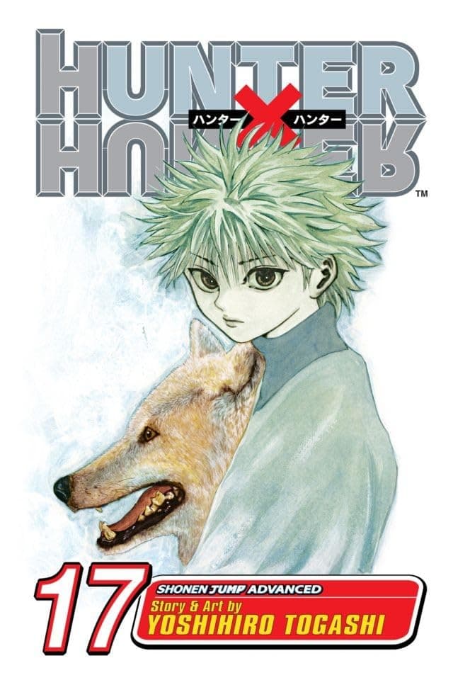 Hunter x Hunter, Vol. 17: A Fierce Three-Way Struggle