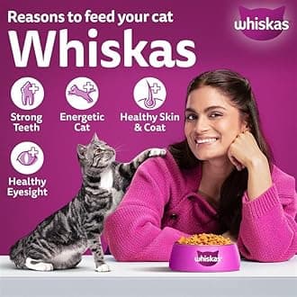 Whiskas Adult (1+ Years) Dry Cat Food, Tuna Flavour, 20 kg, Contains 41 Essential Nutrients, Complete & Balanced Nutrition for Adult Cats