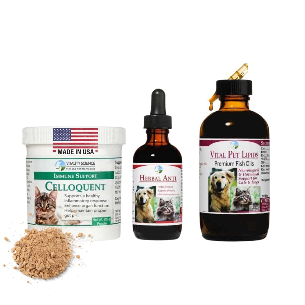 Advanced Immune Restoration Supplements for Cats | Intense Regeneration Protocol | Helps with Pain Relief (Small)