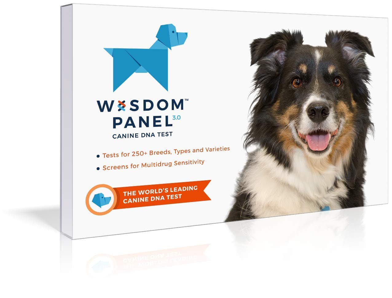 Mars Veterinary Wisdom Panel Dog DNA Test Kit - Canine Breed Identification and Ancestry Information