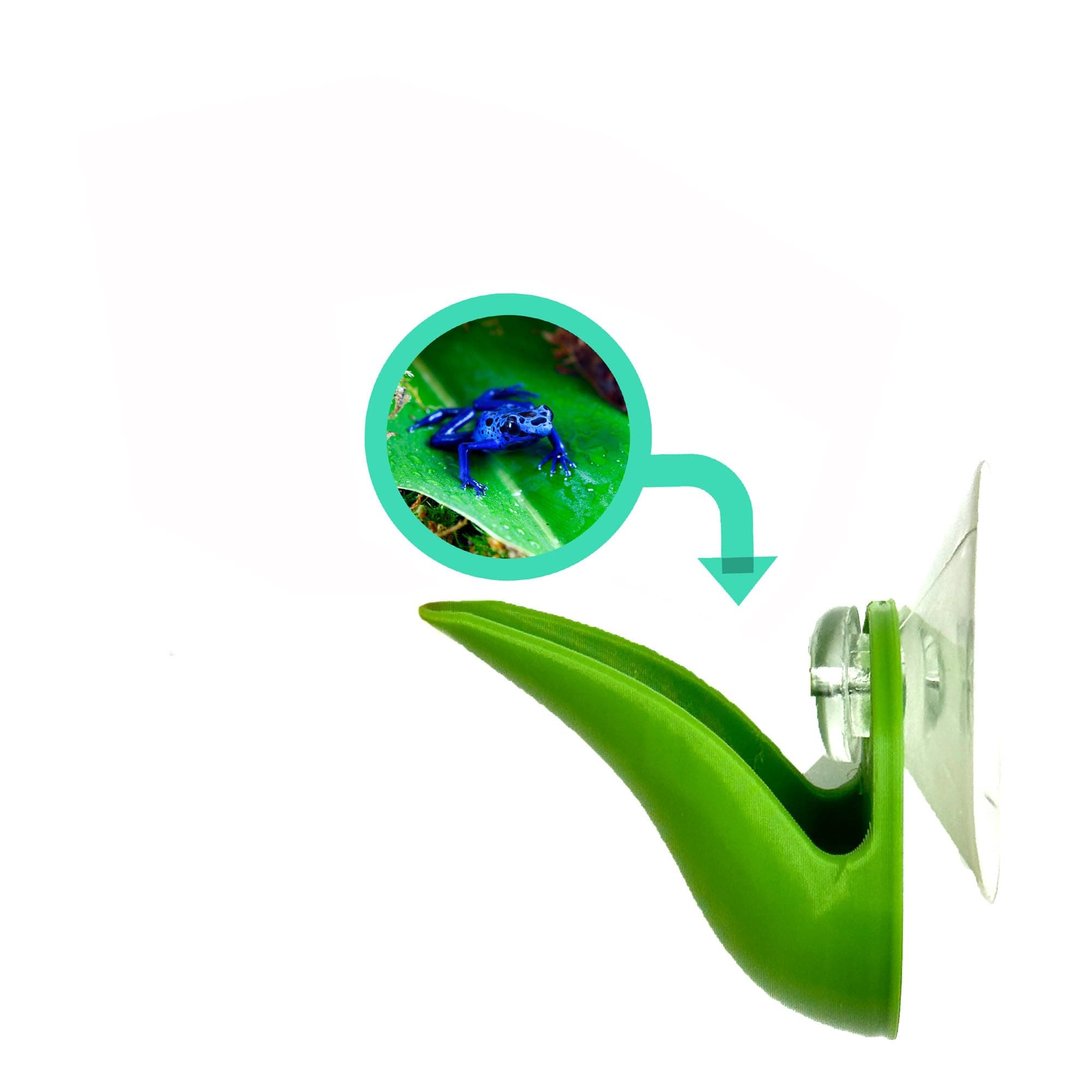Dart Frog Leaf Pod - Bromeliad Leaf Hide