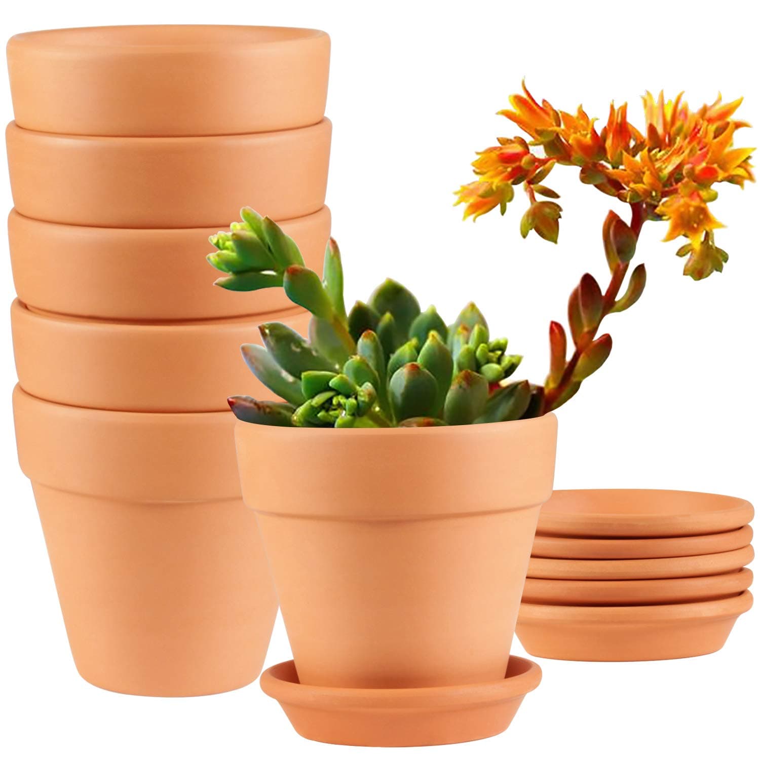 Clay Pots