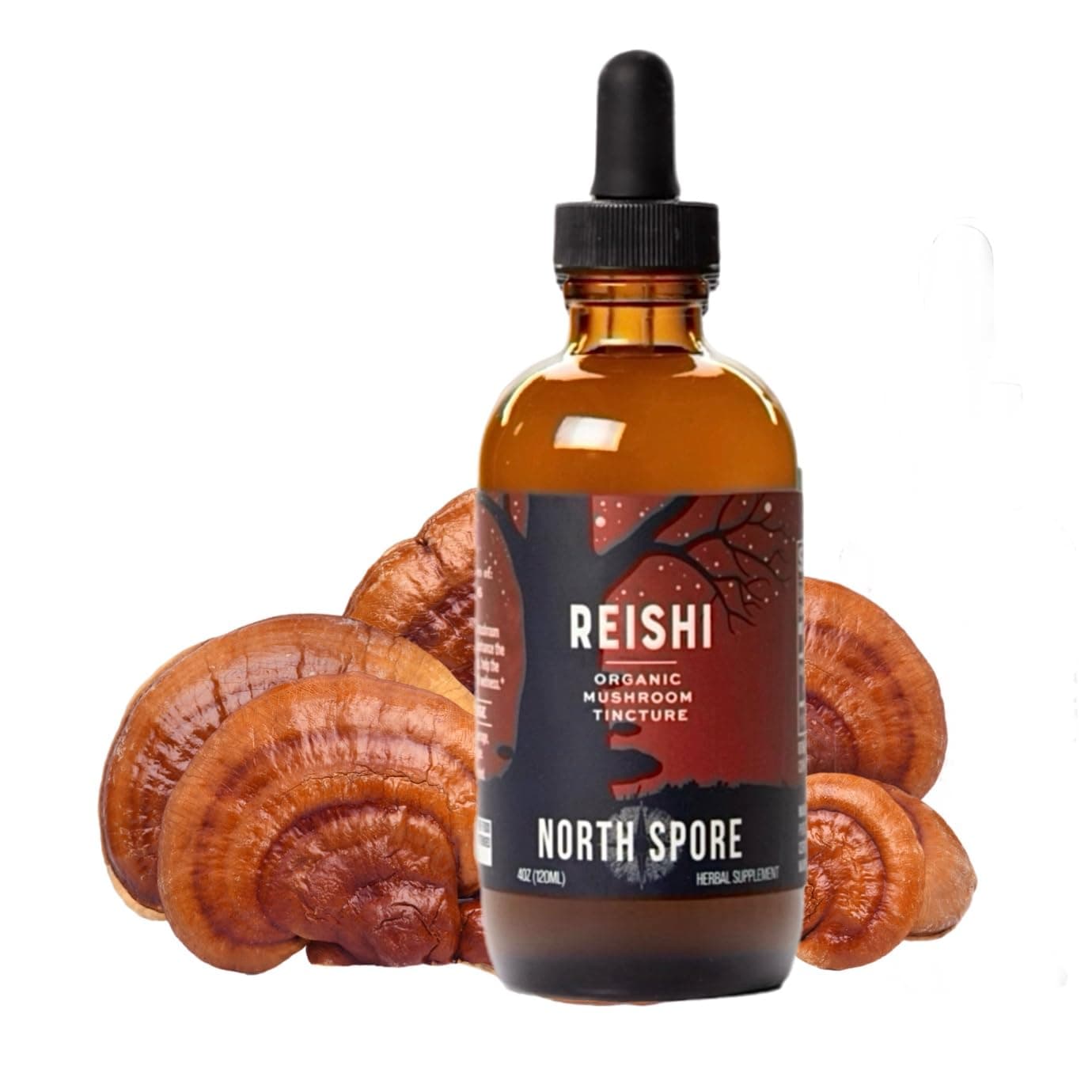 Reishi Mushroom Extract Tincture | High Potency Organic Ganoderma lucidum, 100% Fruiting Bodies | Non-GMO, Vegan - 4oz
