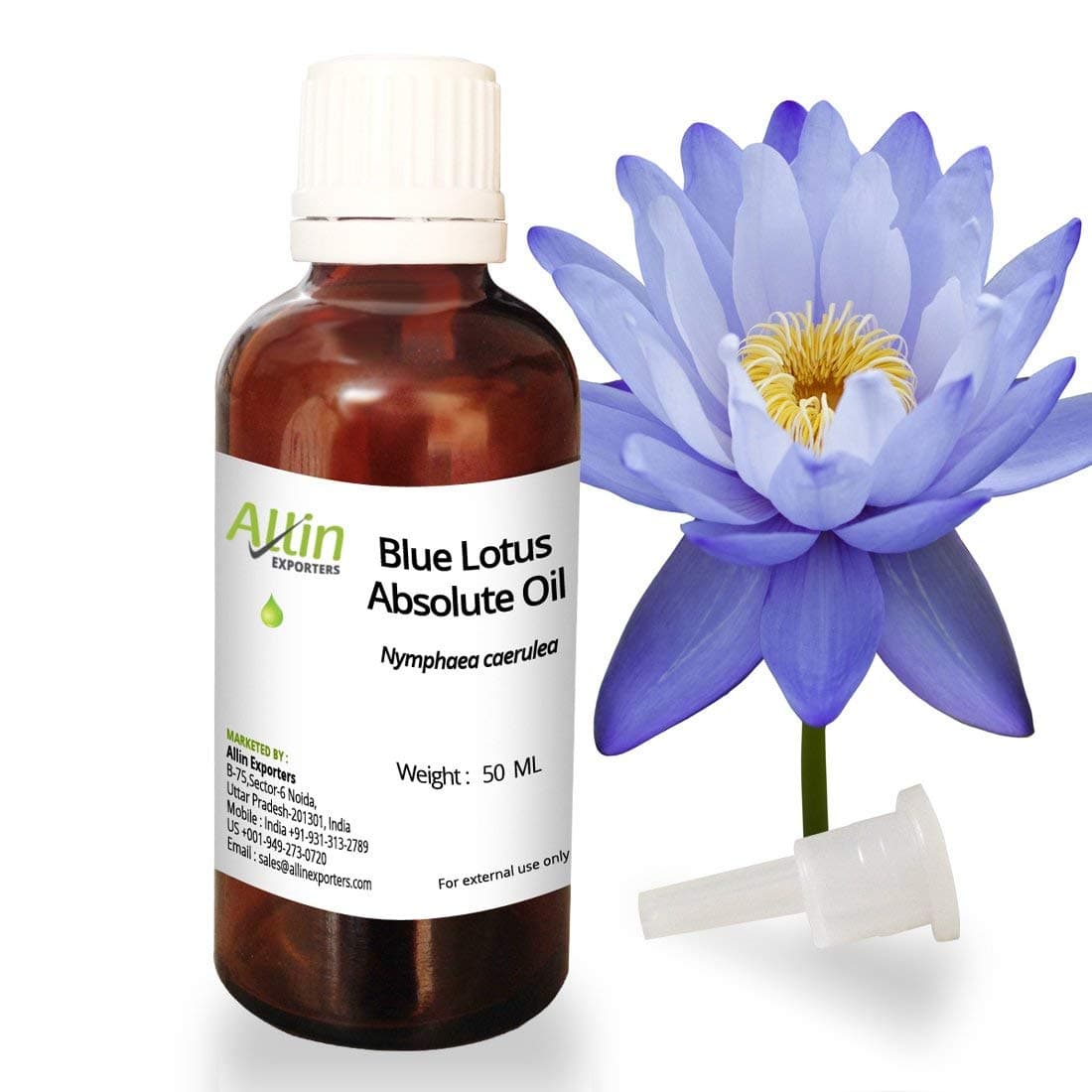 Blue Lotus Absolute Oil