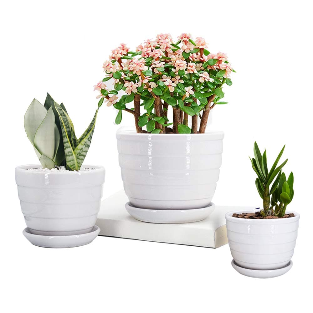 GeLive White Ceramic Round Flower Pots, Succulent Planters, Window Boxes, Garden Plant Container with Saucers, Small to Large Size, Elegant, Home Office Tabletop Decor (Set of 3 White)