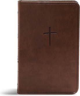 The Holy Bible: King James Version, Brown Leathertouch
