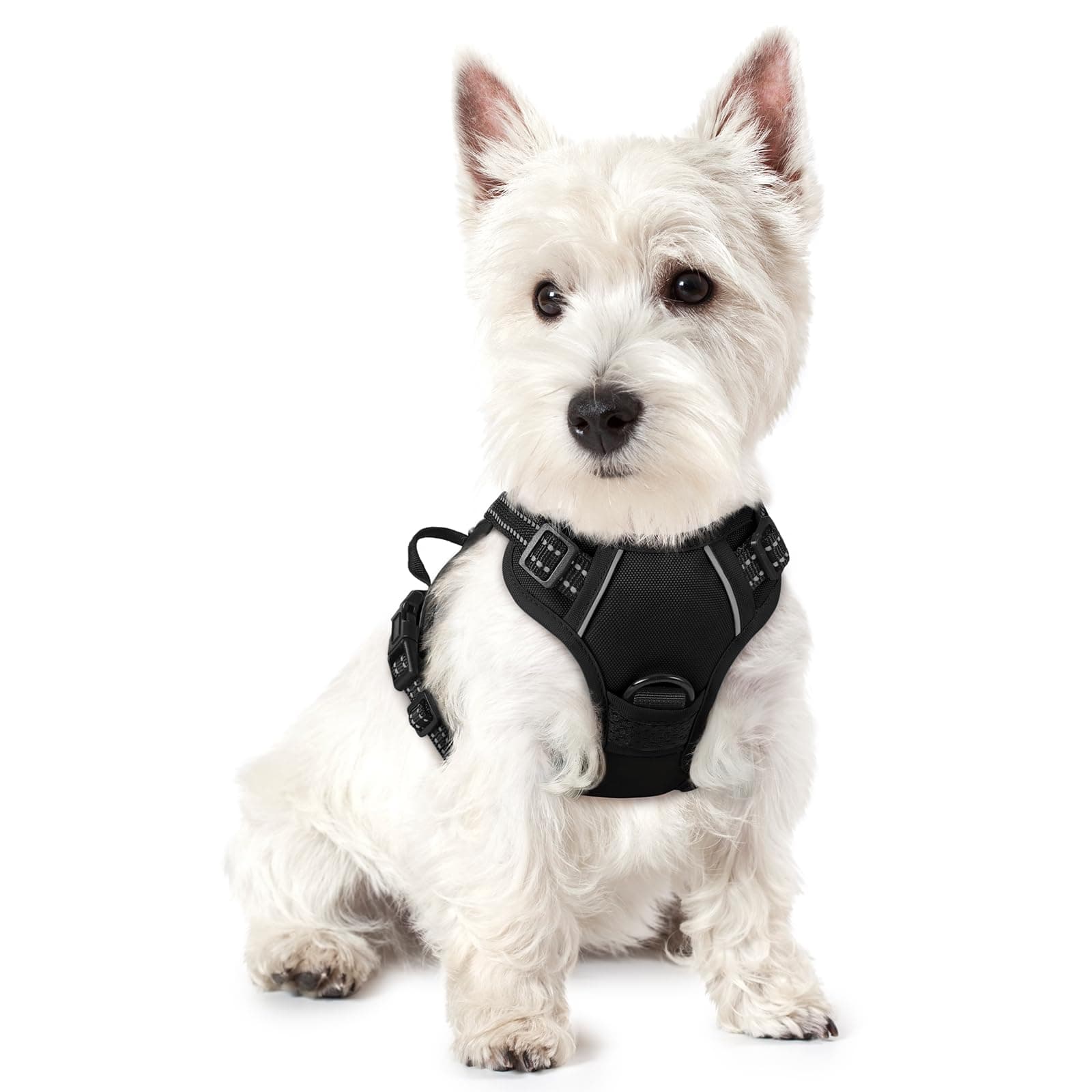 Dog Harness Small Dog No Pull Pet Harness with 2 Leash Clips, Adjustable Soft Padded Pet Vest Harness, Reflective No-Choke with Easy Control Handle for Training or Walking, Black, XS