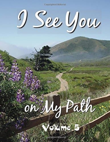 I See You On My Path - 5: Volume 5