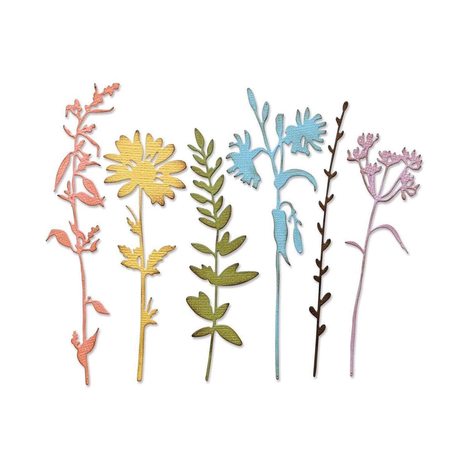 Sizzix Thinlits Die Set 6pcs - Vault Wildflowers by Tim Holtz 666565