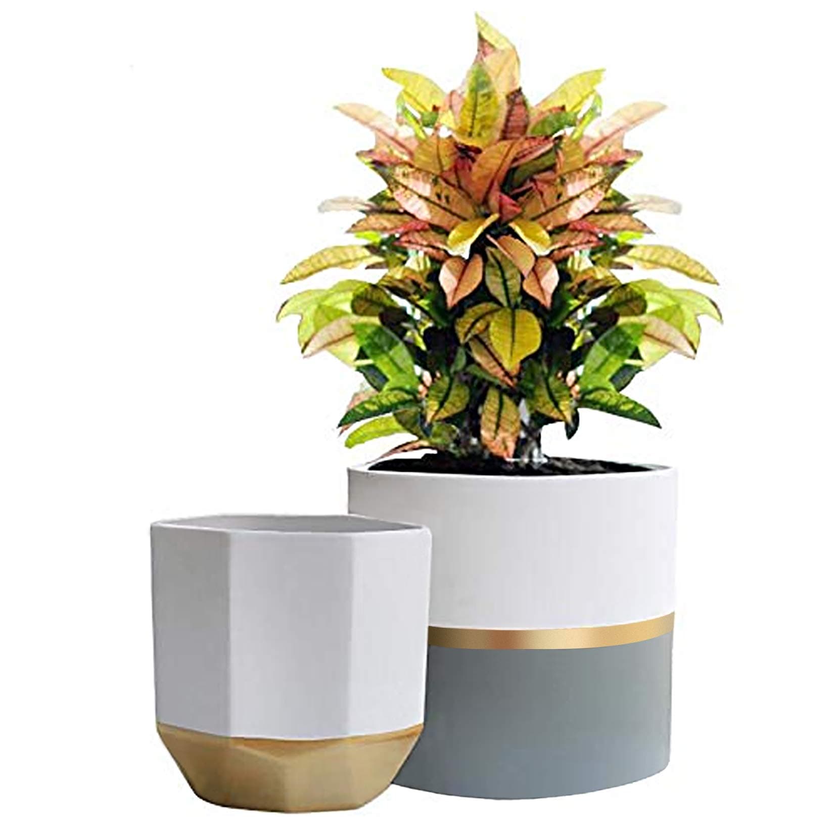 Ceramic Plant Pots