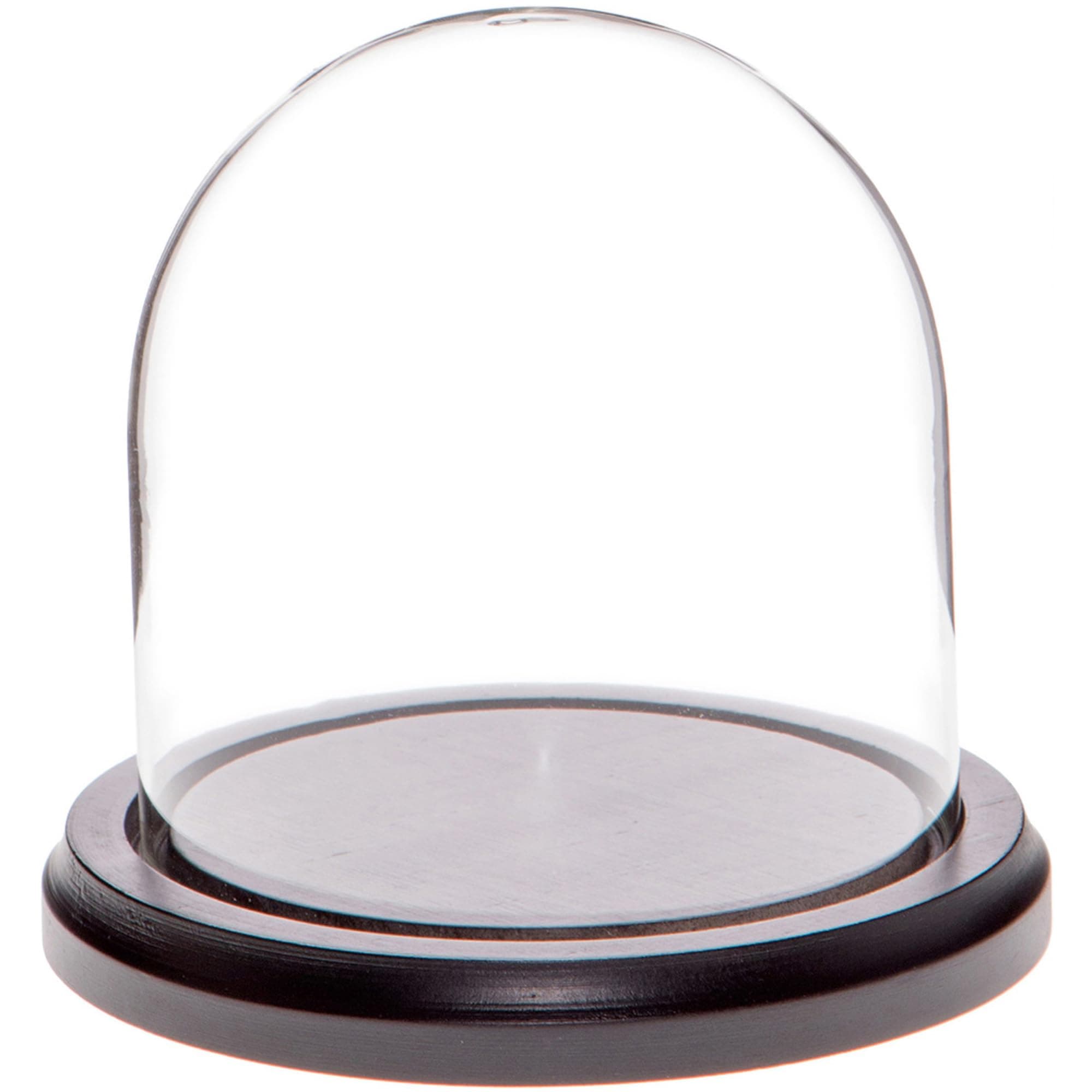 Plymor Brand Glass Display Dome