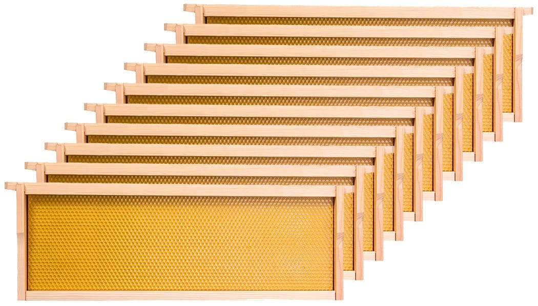 Honey Lake Medium Beehive Frames and Foudations Kit,10 Pack Super Wooden Frames and Beeswax Dipped Plastic Foundations for Beekeeping