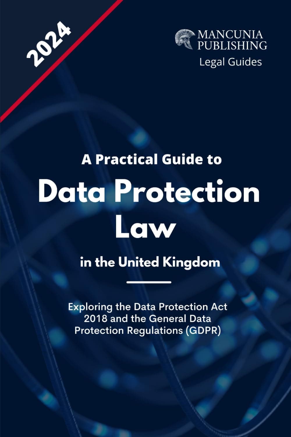 Data Protection Law in the UK: A Practical Guide to