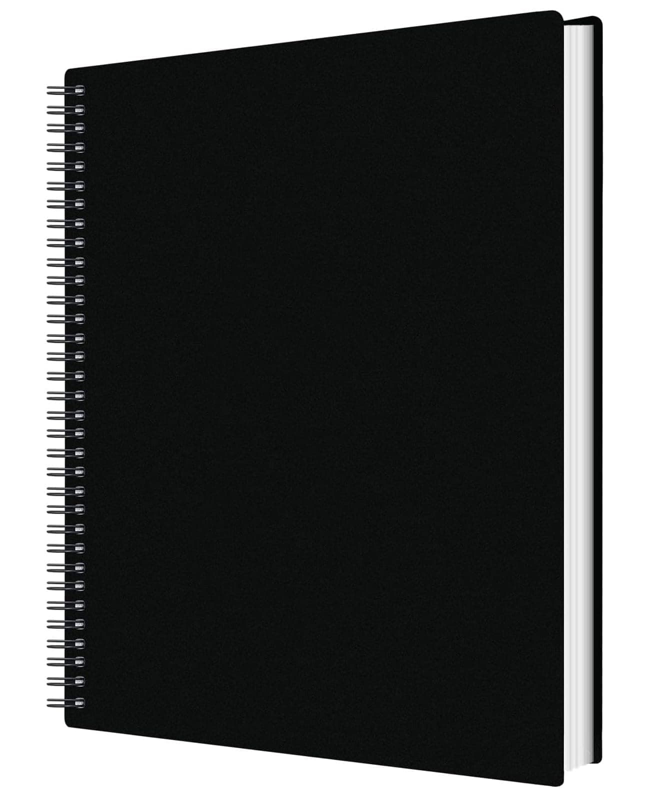 50 Pockets Portfolio Binder with Plastic Sleeves, Presentation Book Display 100 Pages File Folder for Artwork, Sheet Music, Document, Diamond Painting (50 Pockets Portfolio Binder)