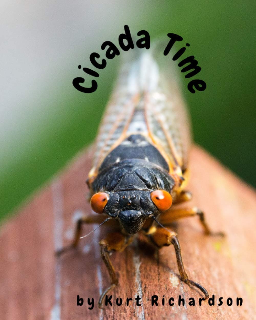 Cicada Time