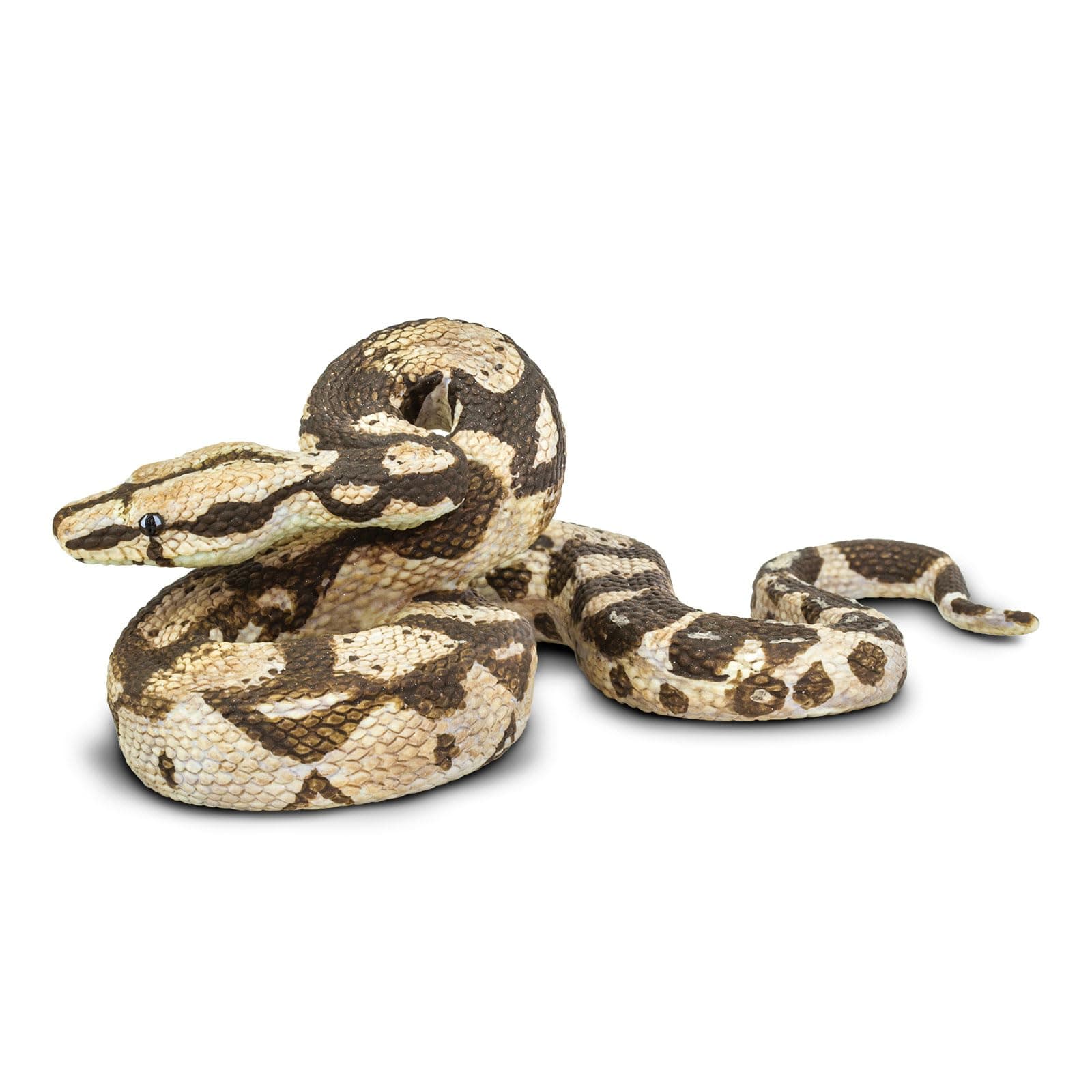 Safari Ltd Boa Constrictor Figure From 3 Years
