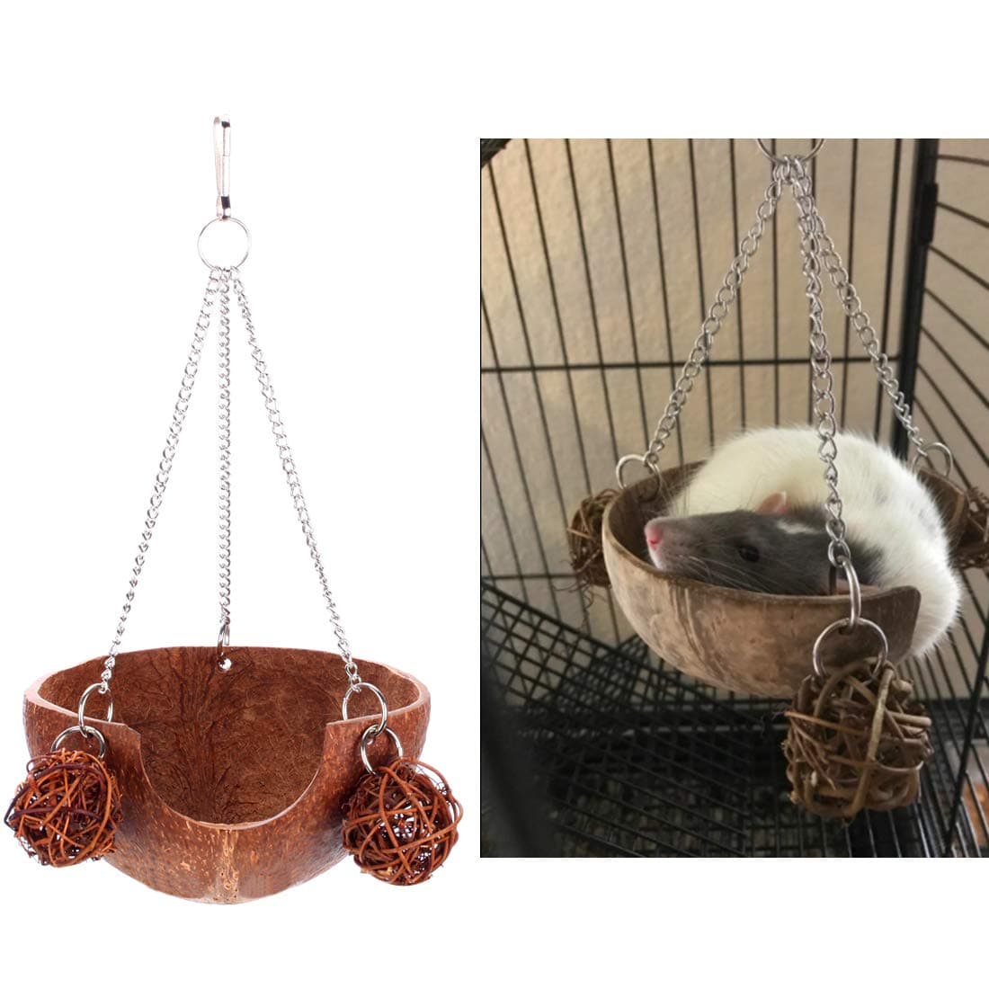 Beangel Coconut Shell Hamster Hammock, Swing Toy,Suitable for Gerbils, Rats or Other Small Animals