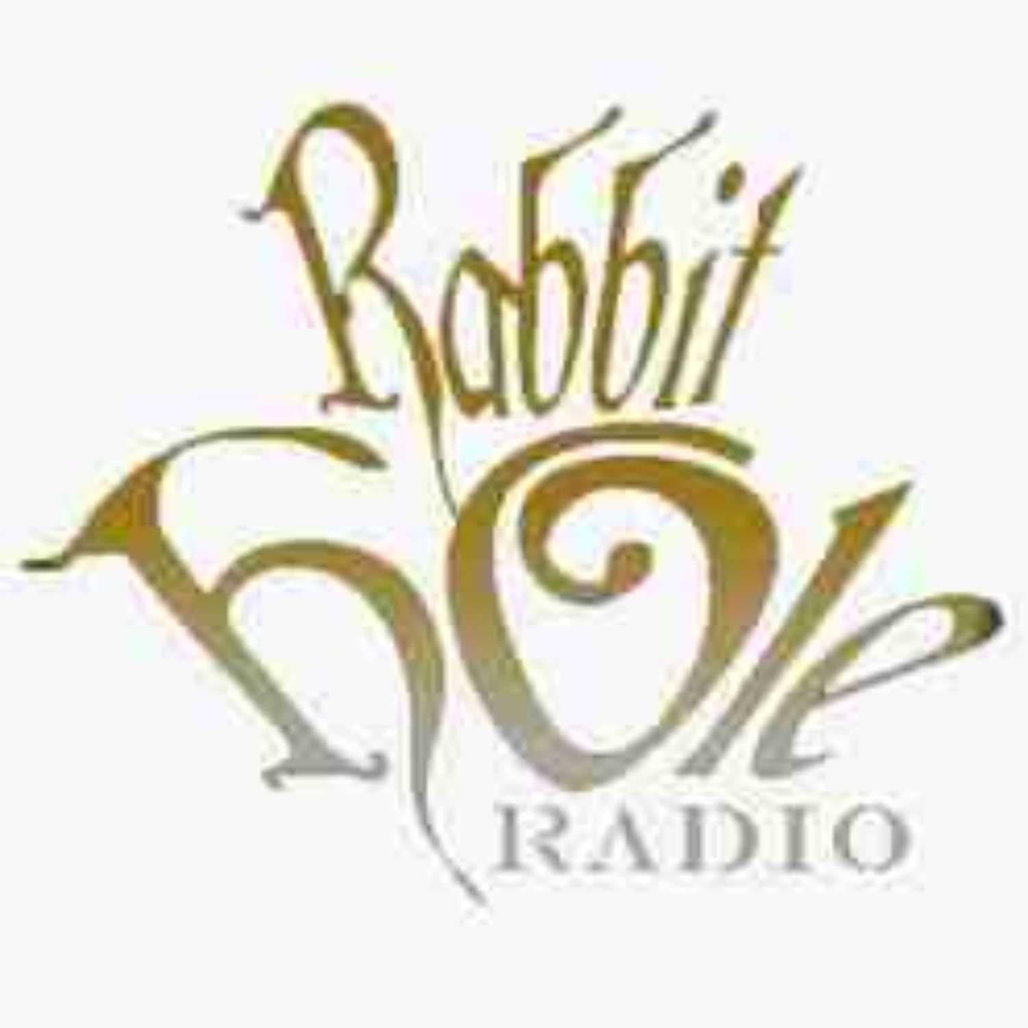 The Rabbit Hole Radio/Mobile DJing