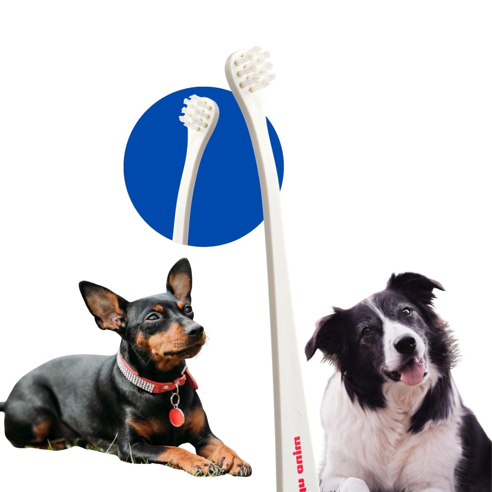 MIND UP Dog Toothbrush with 15° Angled Handle, Flat Head Design for Easy Brus...