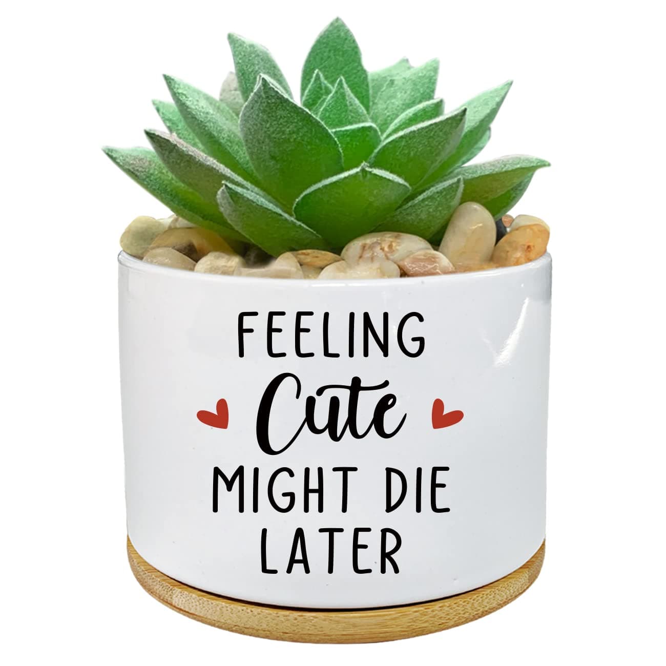 PWHINGN Feeling Cute Might Die Later- White Ceramic Engraved Mini Succulent Aloe Cactus Planter Pot, 3.5 inch Succulent Indoor Flower Plant Pots with Bamboo Tray for Home Office Windowsill Gifts