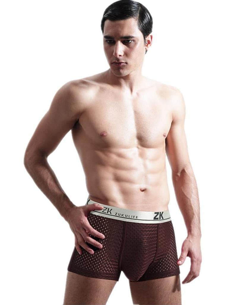 Mens Ice Silk Boxer Mesh Boxer Briefs