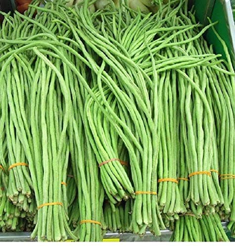 Yardlong beans vegetable seeds - By Splendour Seeds
