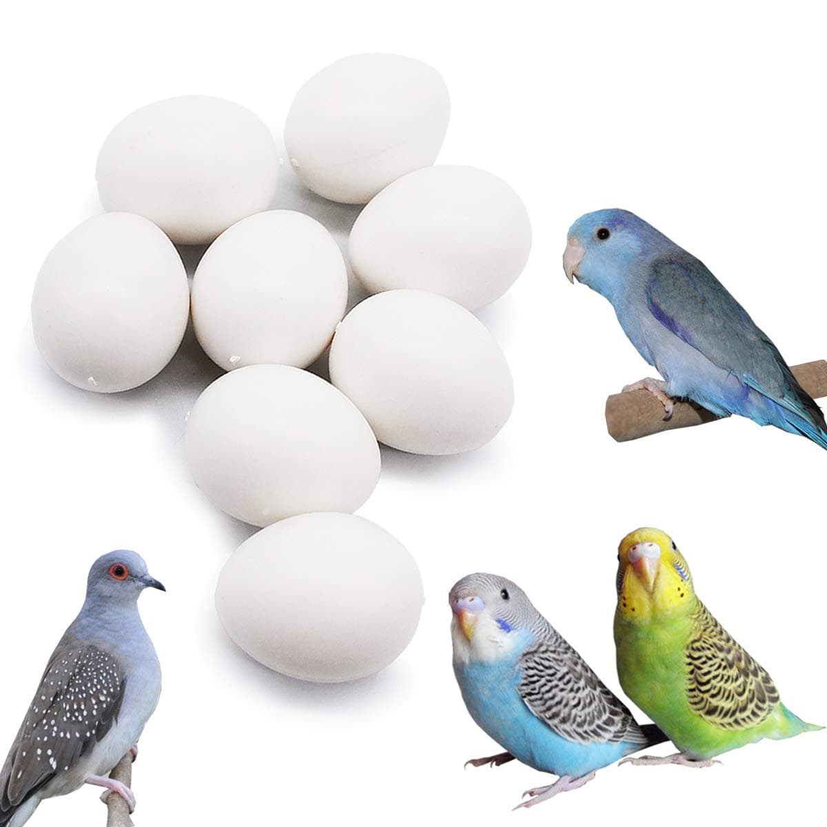 FOIBURELY 8 Pcs Solid Parrot Plastic Eggs Hatching Eggs Parrotlet,Budgie Parakeet,Diamond Dove Trick The Birds to Stop Laying Eggs, Fake Eggs(19mm*16mm)