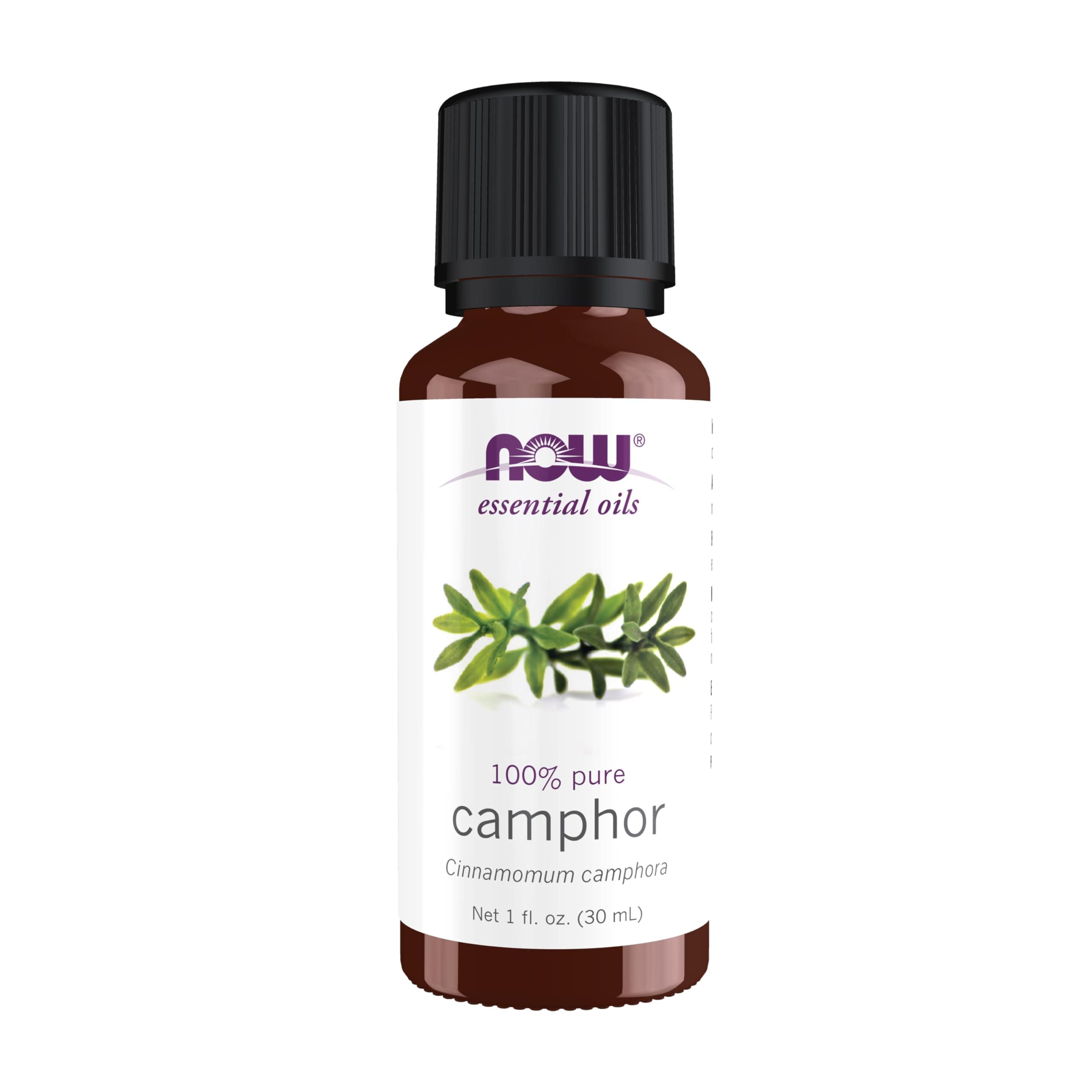 NOW Solutions Camphor Essential Oil, 1-Ounce