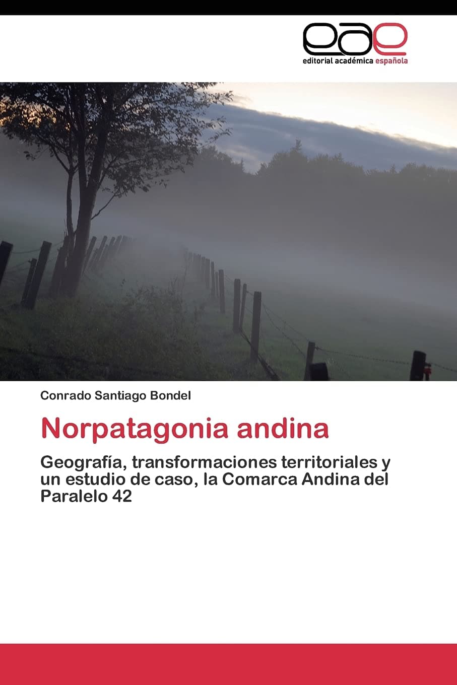 Norpatagonia andina