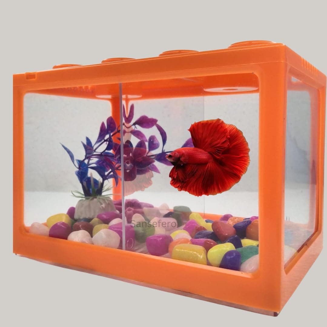 Building Block Fish Tank for Double Betta Fish Tank and Mini Aquarium Tank for Small Fishes, Shrimps, Turtle, Betta etc. Large (YU-18) Random Colors