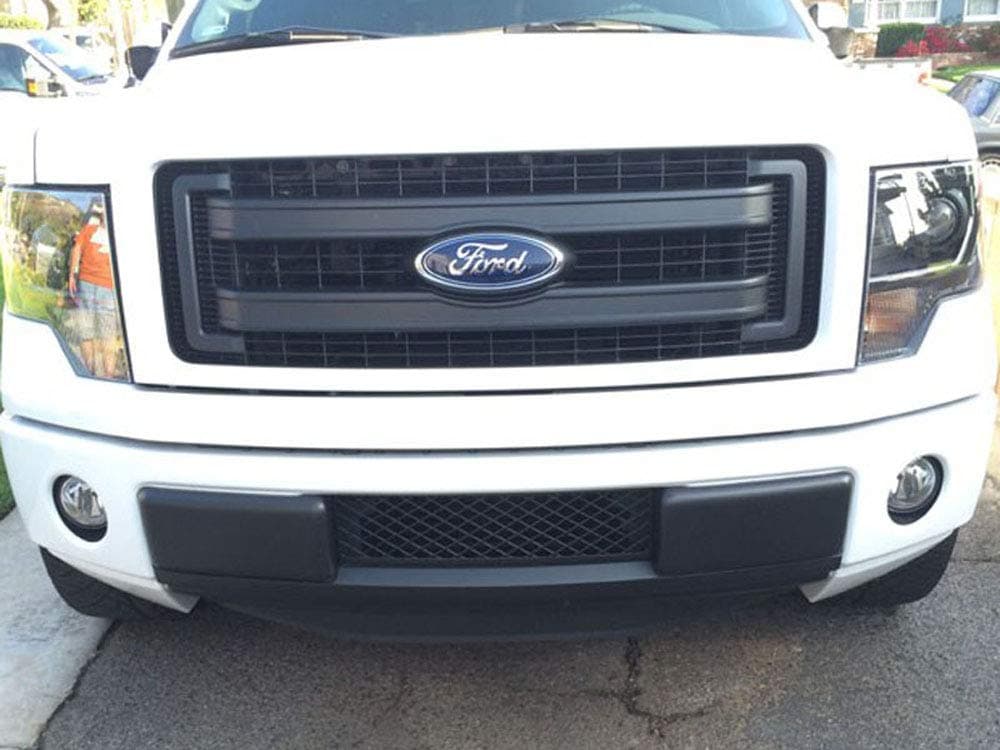 Accesspeed Black Lower Bumper Grille Insert, OEM Style ABS Material, EcoBoost Grille, Compatible With 2011 Model Year Ecoboost