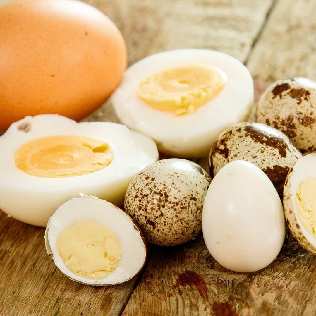 Fresh Quail Eggs - 36 Count, Farm Fresh, Nutrient-Packed Delicacy, Rich in Protein & Vitamins for Gourmet Dishes & Everyday Meals