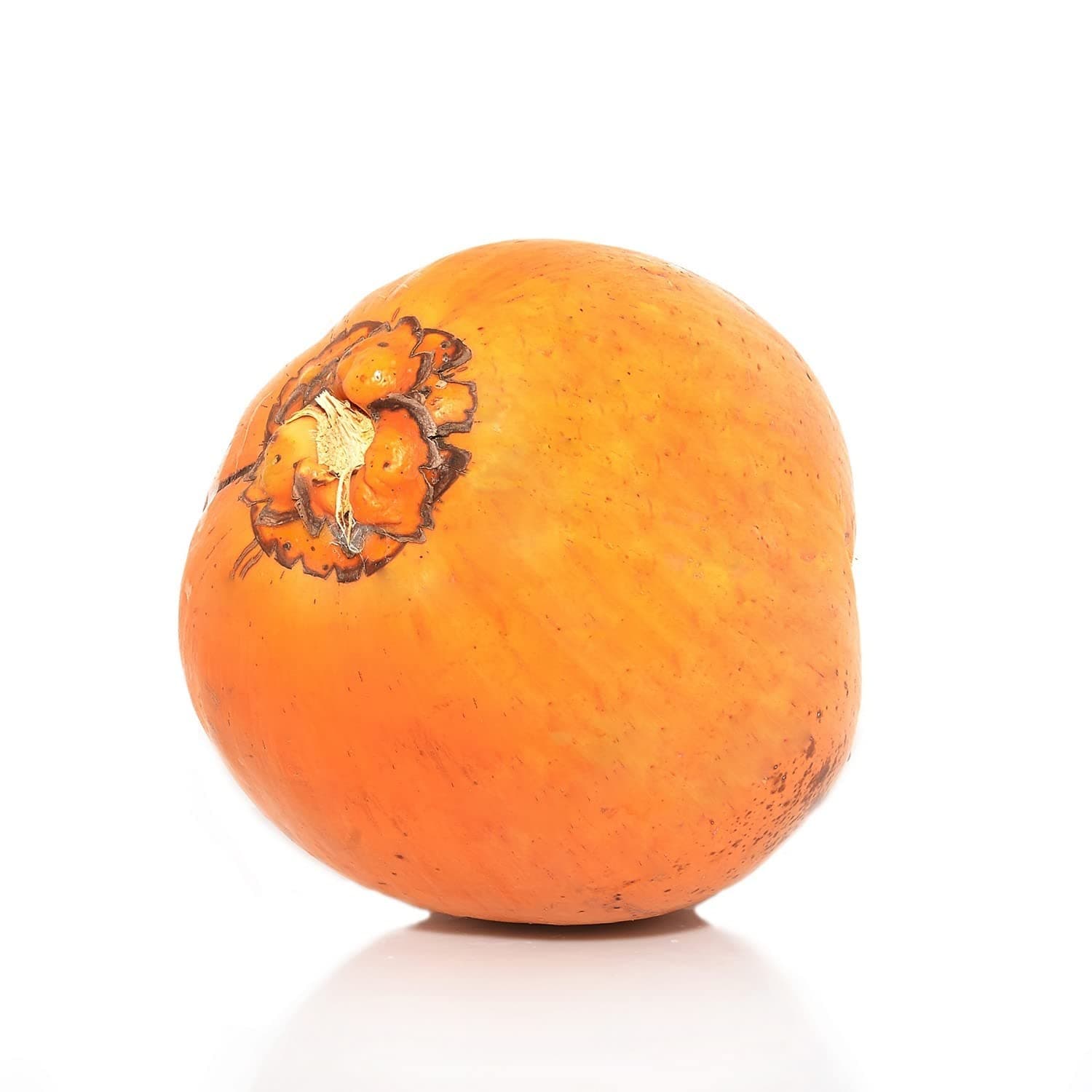 Lulu King Coconut Sri Lanka 1pc