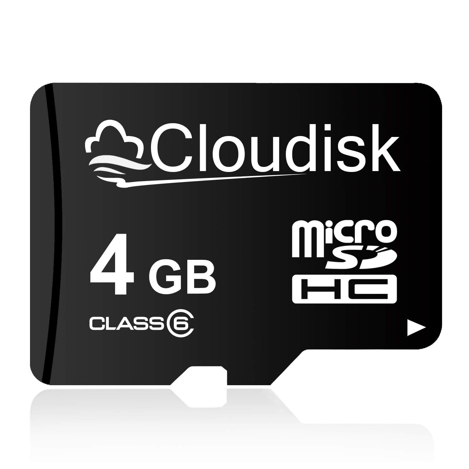 Micro SD Card (4GB)