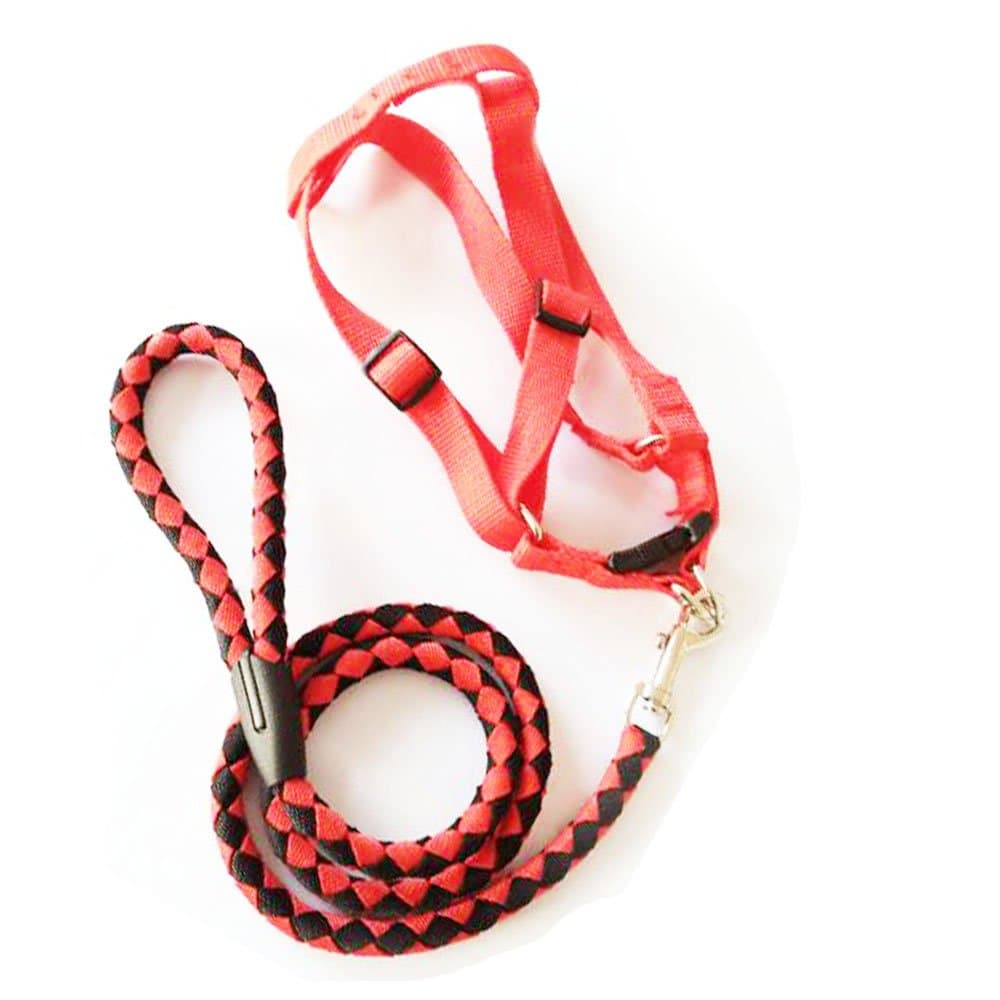 Q4Pets Training Dog Harness and Lead. Strong Roped Leash for medium to large dogs (Red Black)