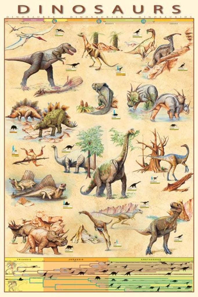 Dinosaurs - Maxi Poster - 61 cm x 91.5 cm