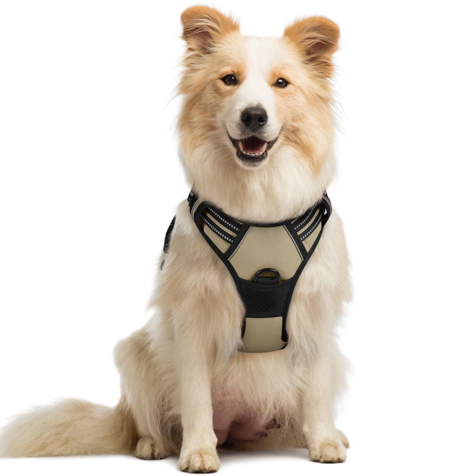 rabbitgoo Dog Harness M Arnais Beige Anti-Pull Reflective Adjustable Vest for Dogs, Front Tie Hook for Hiking, Travel, Car, French Bulldog, Australian Shepherd