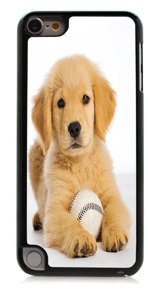 HeartCase Hard Case for Apple itouch 5g 5th Generation ( Golden Retriever Dog Pet )