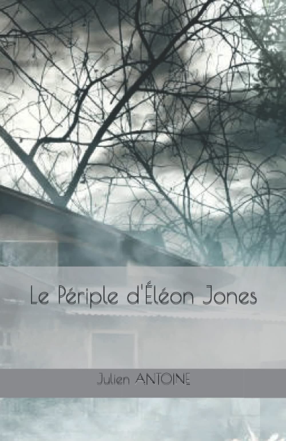 Le Périple d'Éléon Jones