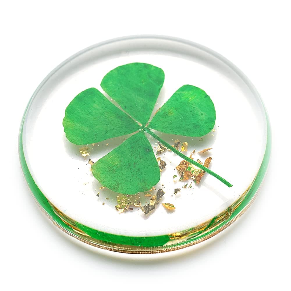 Real Four Leaf Clover, Authentic 4 Leaf Clover Good Luck Charm 1.25”, Ideal for Gifts, Lucky Charm Clover For Family (Including Gold Leaf)