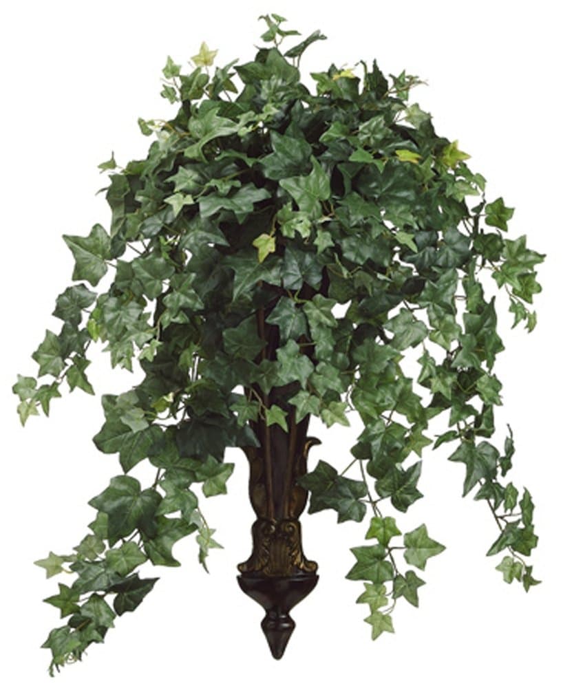 Ivy Hanging Plant in Basket