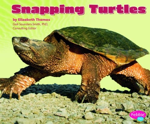 Snapping Turtles (Reptiles) Library Binding – July 1, 2011