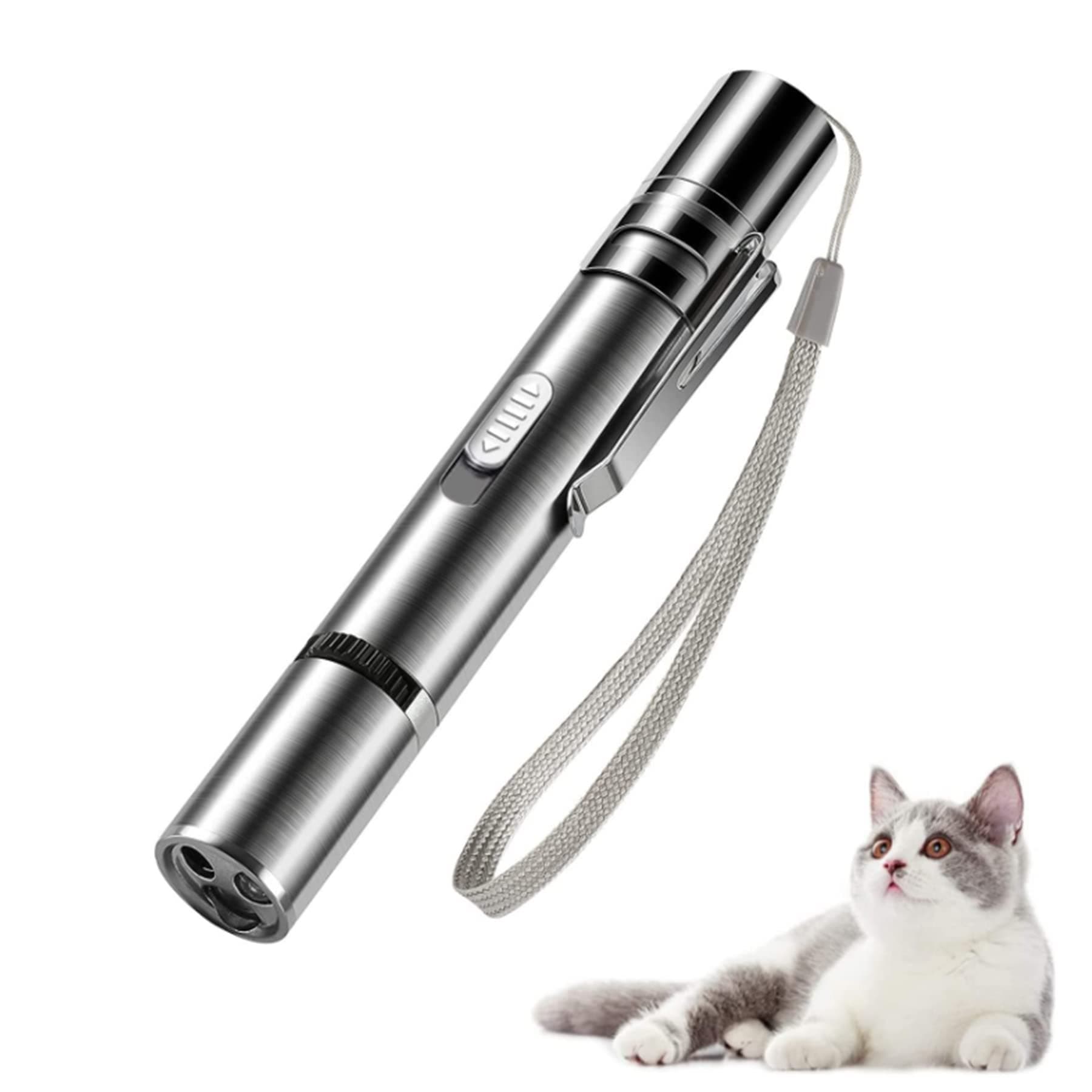 Cat Toy Interactive Indoor Play for Kitten Chaser Exercise,Hunting Instinct Stimulation