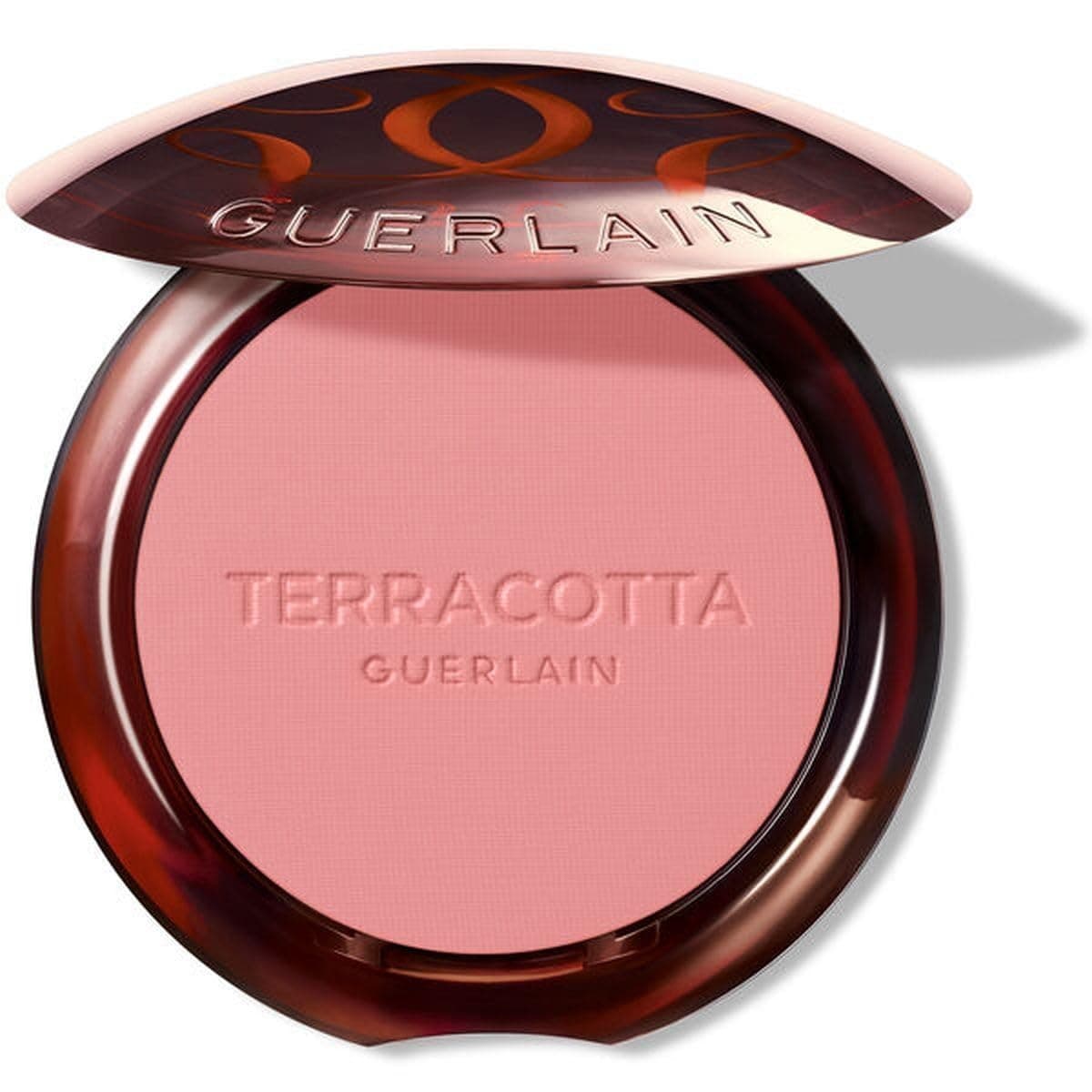 Terracotta Blush - 01 Light Pink 5 g