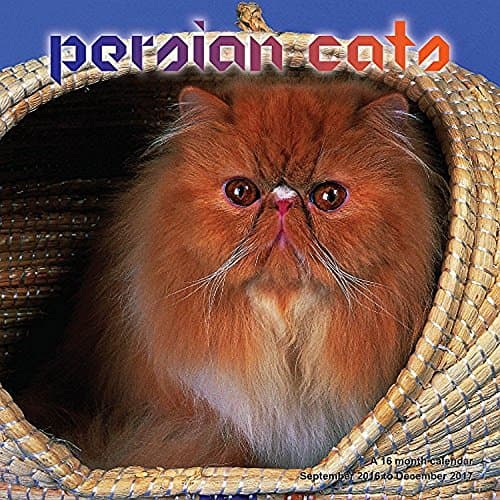 Persian Cats 2017 Wall Calendar