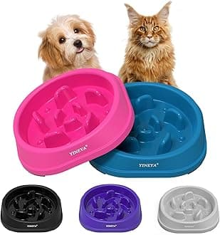 2Pcs Slow Feeder Dog Bowls Small Size Dog, Anti-Choking Dog Slow Feeder Bowl, Slow Feeder Cat Bowl, Cat Food Bowl Slow Feeder, Small Dog Bowls Slow Feeder, Dog Food Bowl for Small Dogs and Cats