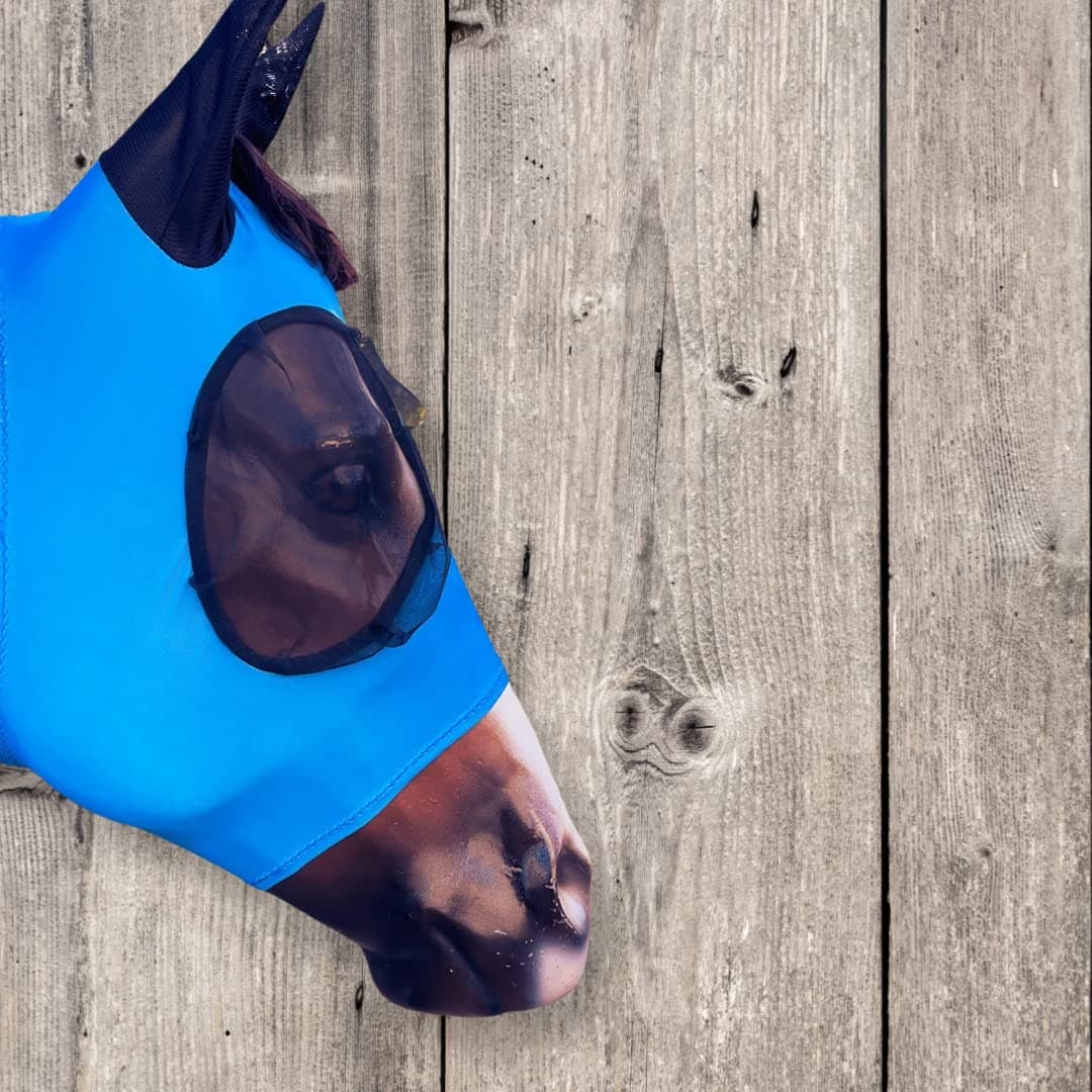 Tech Equestrian Fly Mask for Horses with Ear & Forelock Opening | Horse Fly mask | Stretch Horse Flymask with Elevated Eyes Netting | (4-Way Stretch Fabric) (Horse, Teal_Solid)