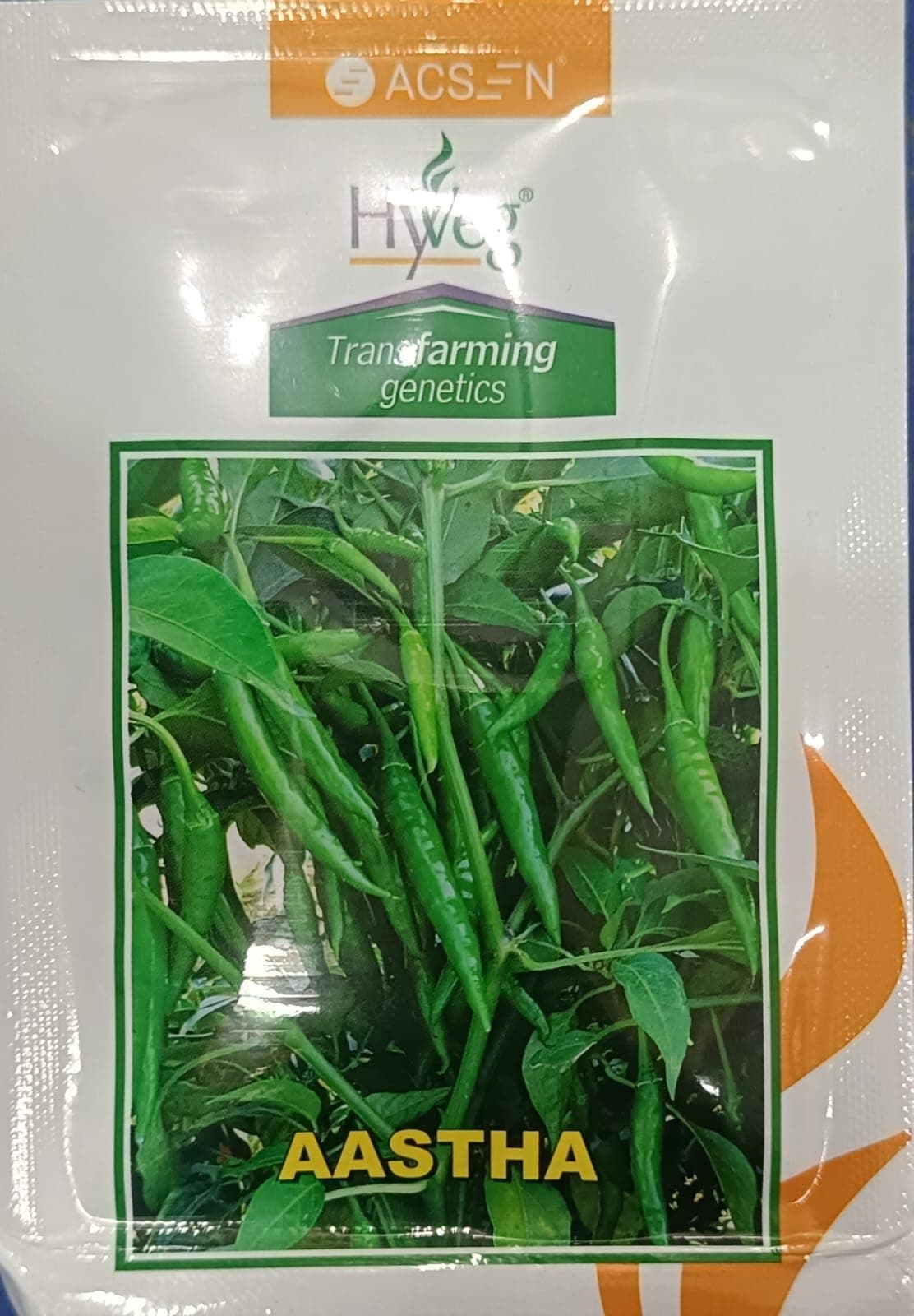 Aastha Transfarming Genetics Green Chillies, 10g Pack