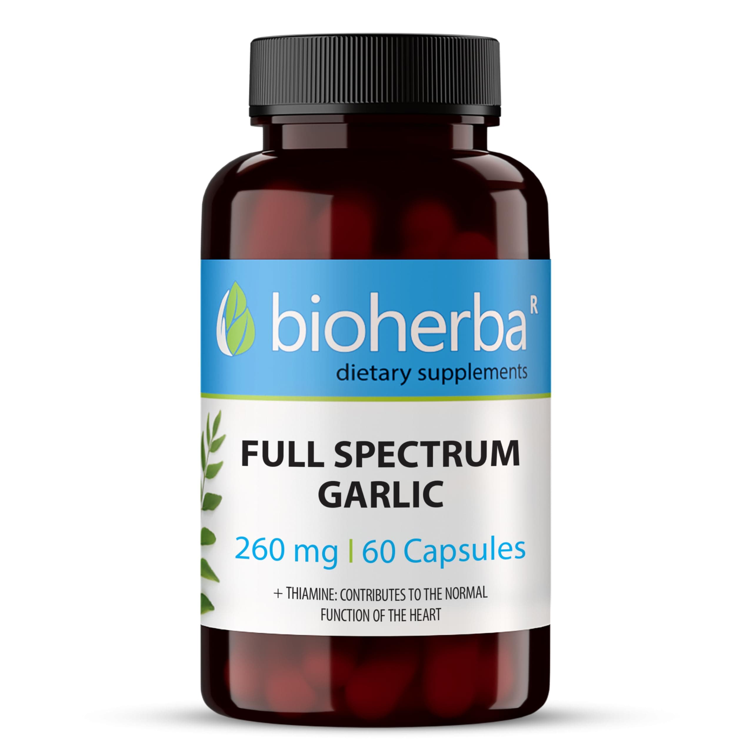 BioHerba Full Spectrum Garlic 260mg - 60 Odorless Capsules Supplements for Enhanced Circulation & Immune Supplement