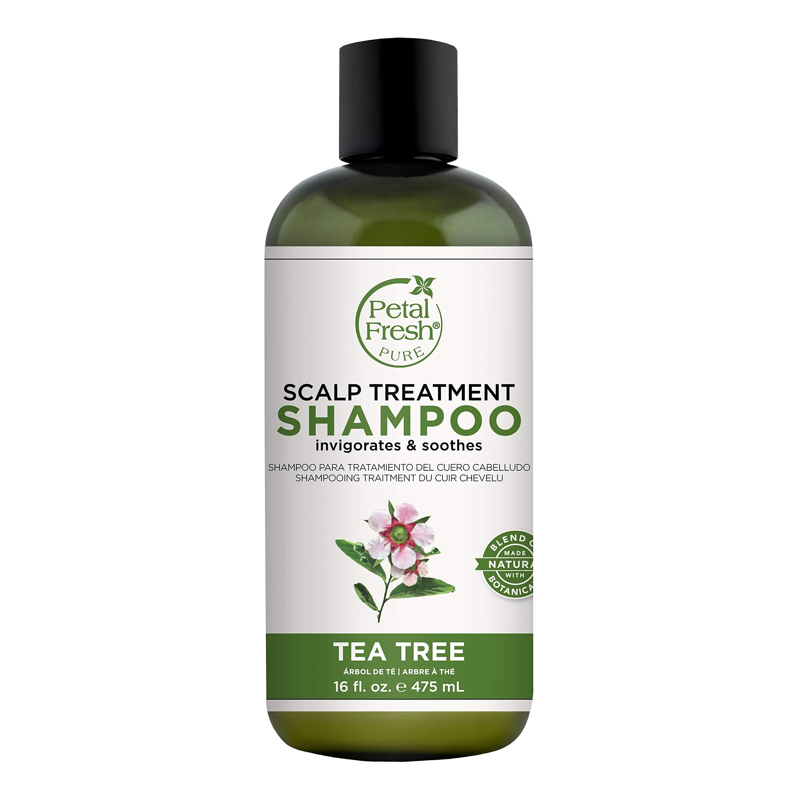 Shampoo, Tea Tree, 16 Fluid Ounce